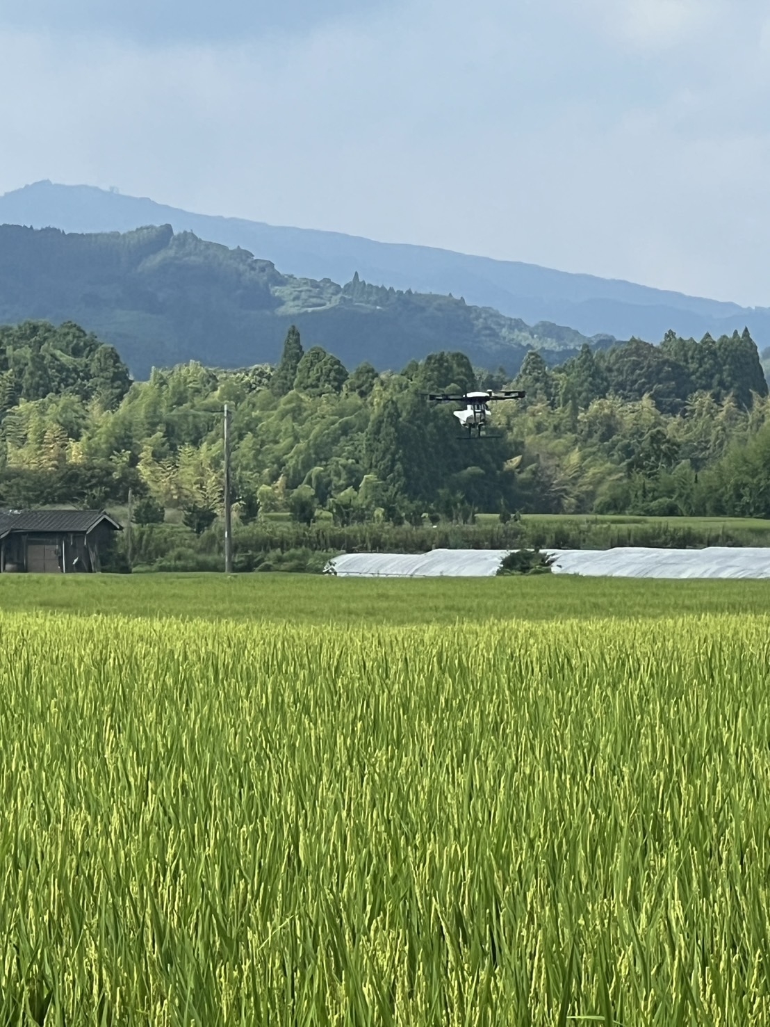 【メディア情報】弊社オリジナル農業用ドローン【FarmXnext 翼】を使用した稲田への農薬散布の様子が取材されました。